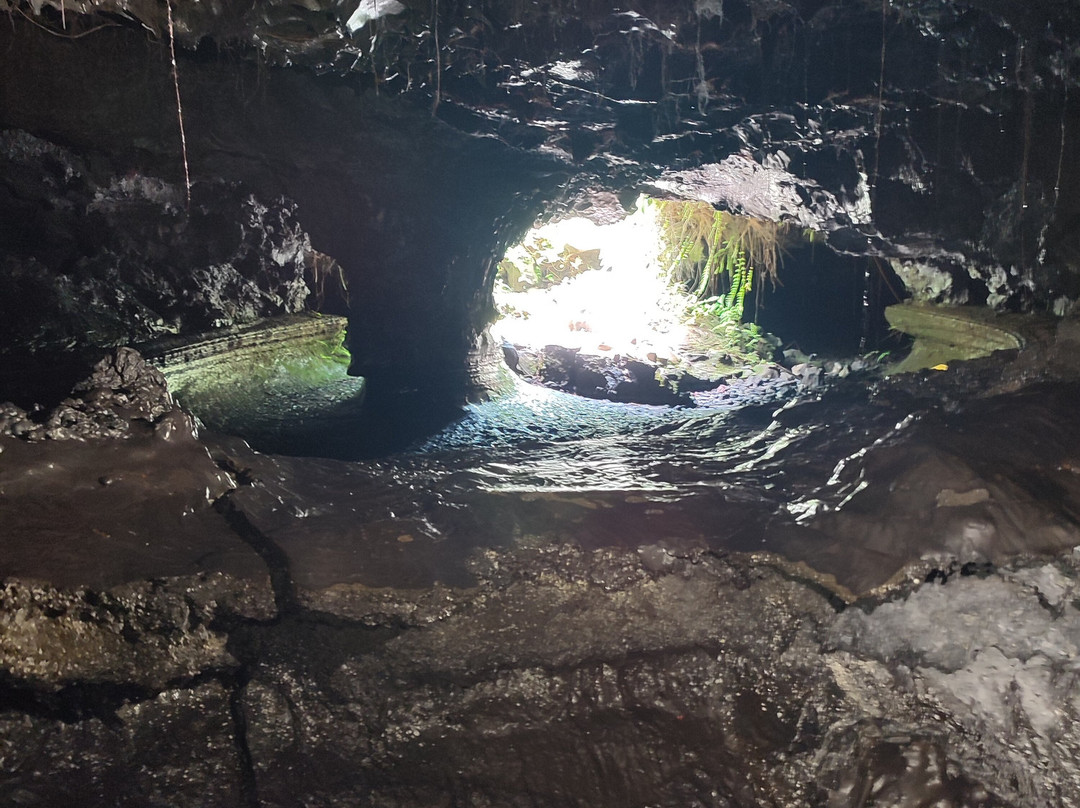 Tunnels de lave Réunion: Volcanorun-Saint-Philippe必去景点