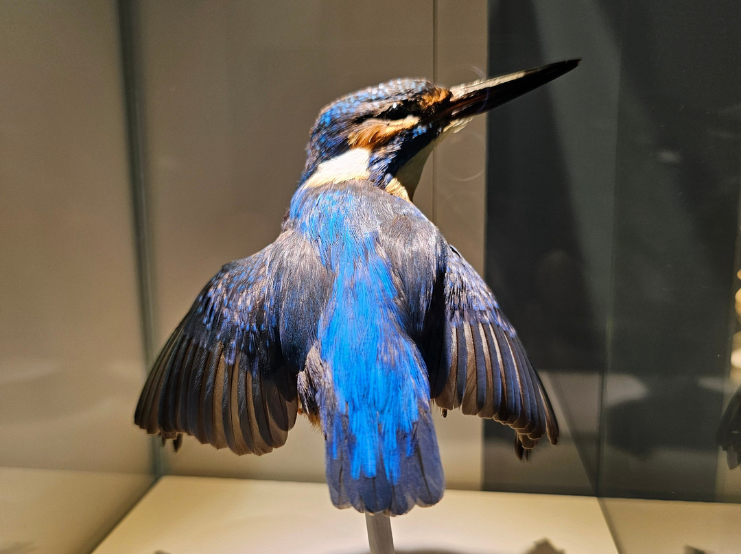 Schweizerische Vogelwarte Sempach-Sempach必去景点
