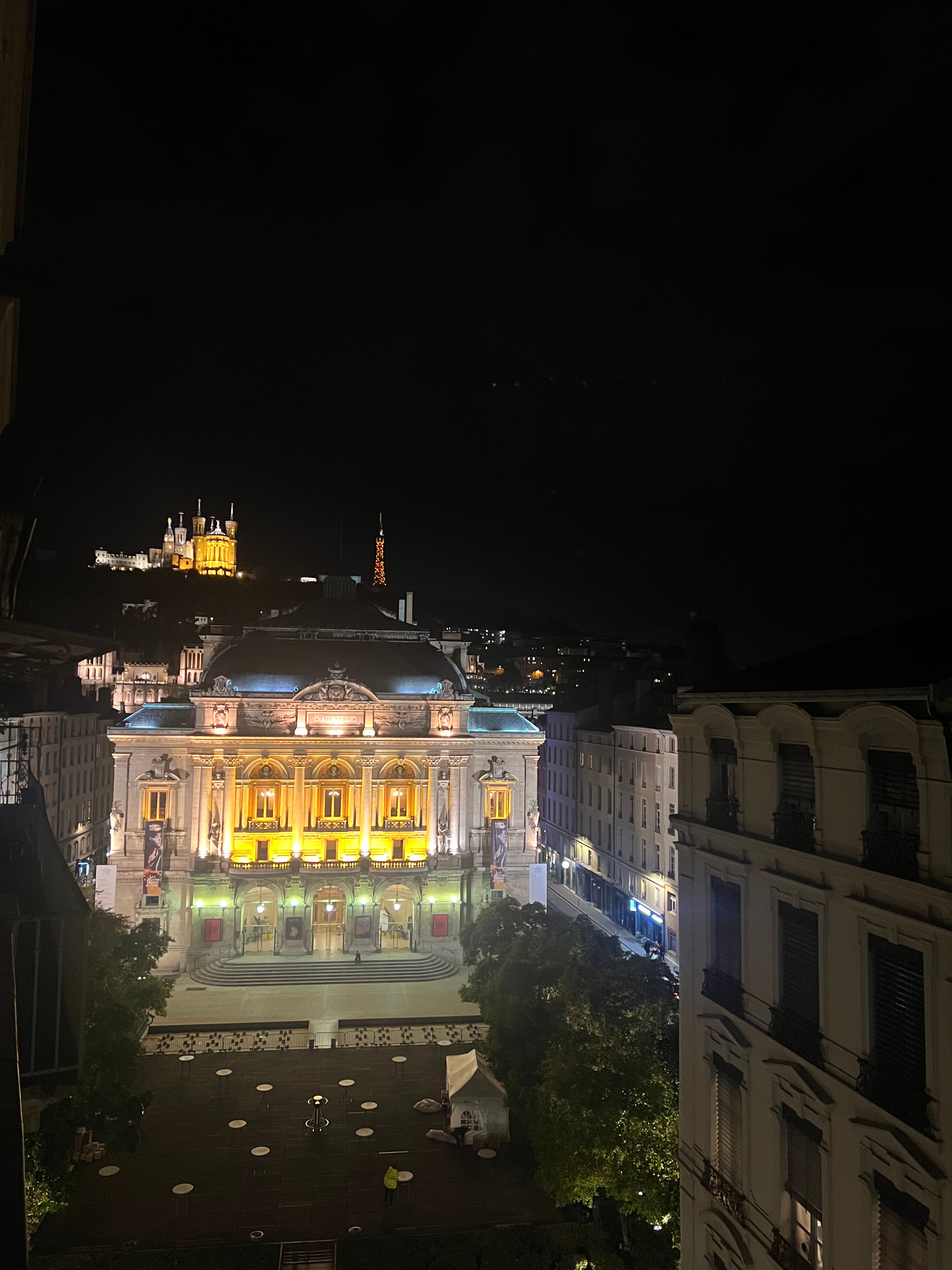 Hotel des Celestins-官方