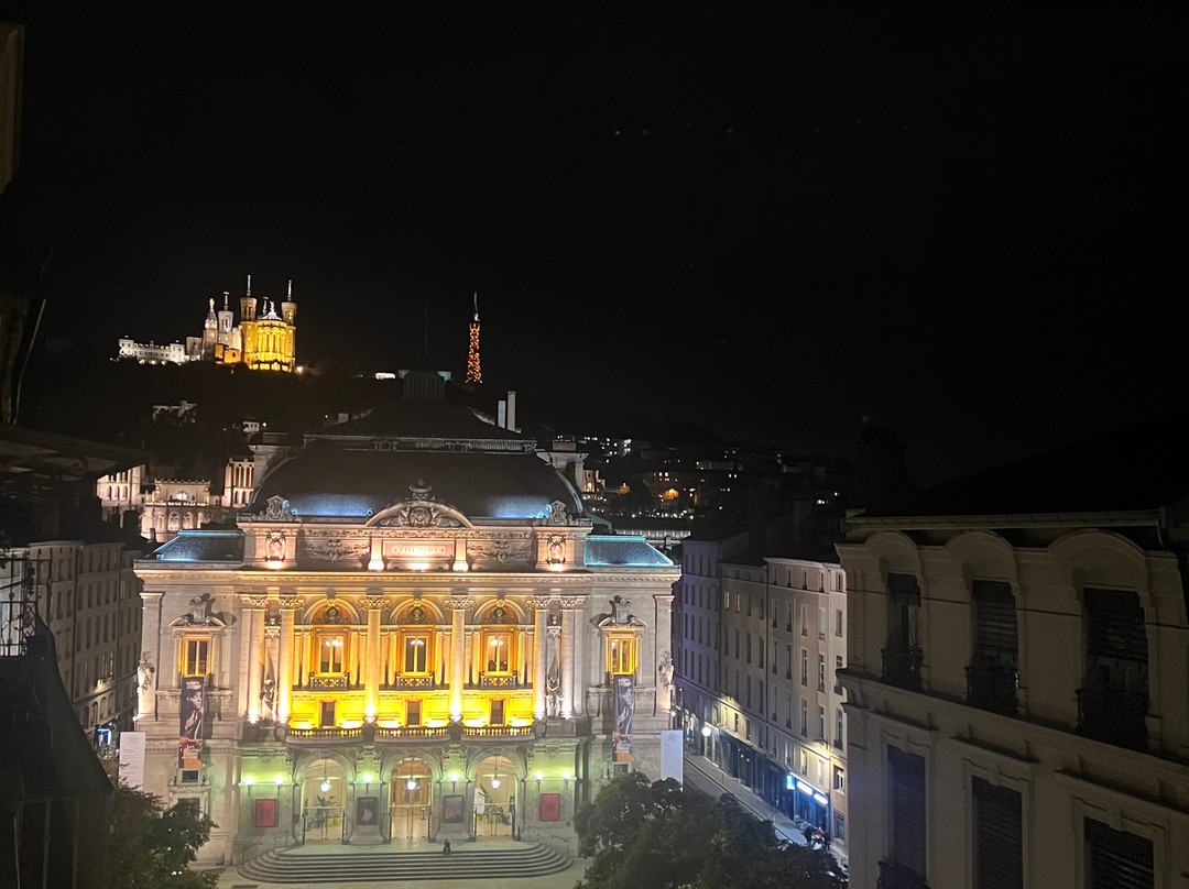 Hotel des Celestins主图