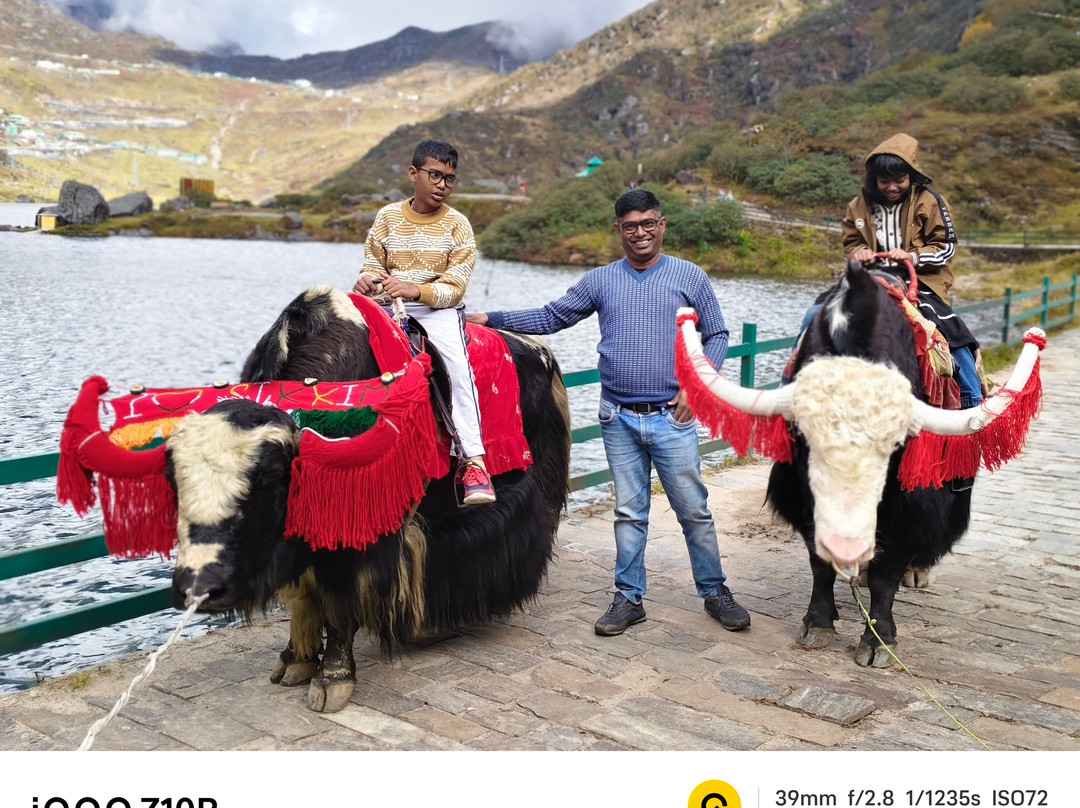 Grains Pure Veg By Udaan Keepsa