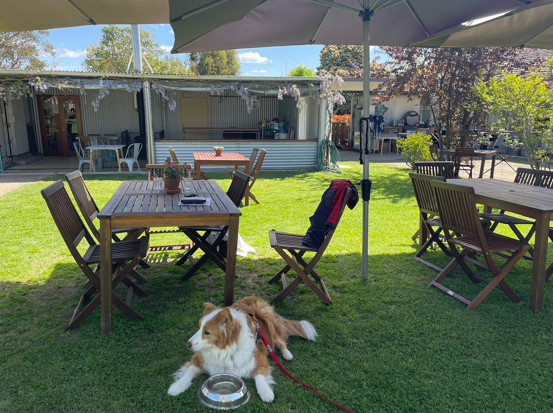 Indigo Vineyard-比奇沃思必去景点