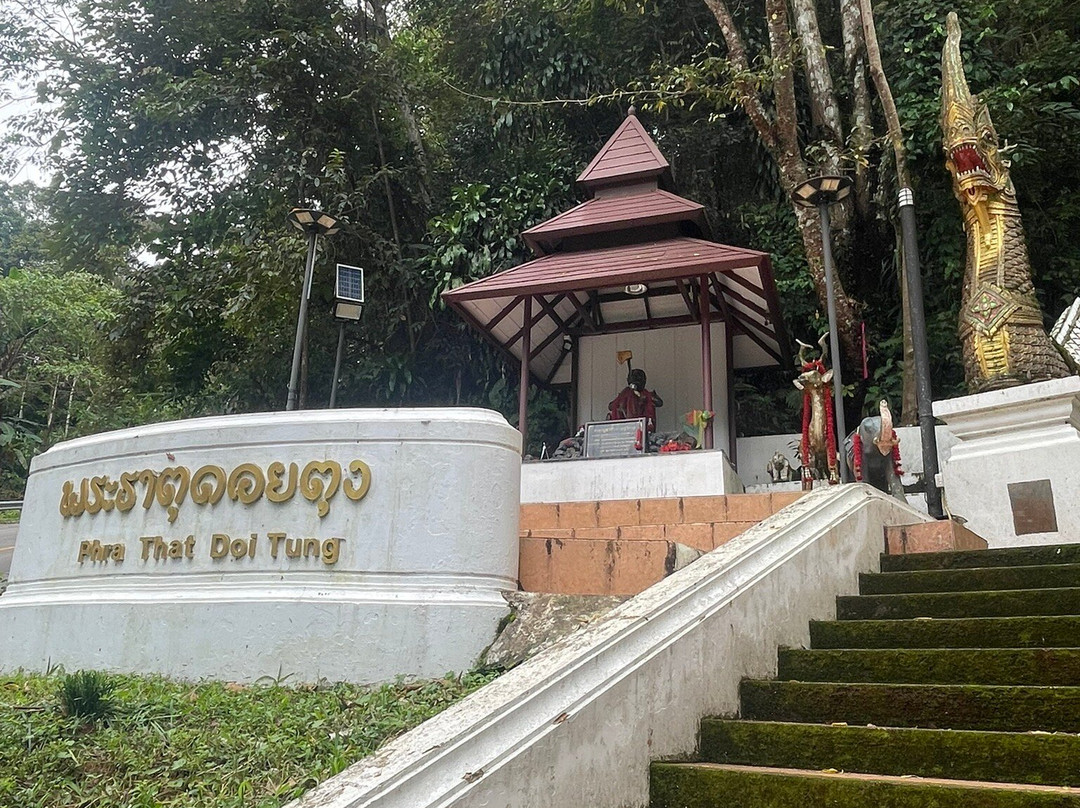 Wat Phra That Doi Tung-夜发銮必去景点