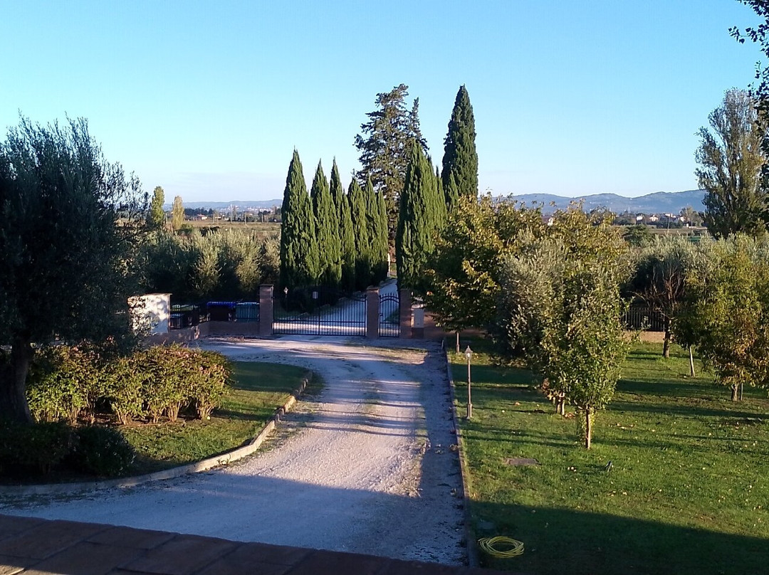 Le Rondini Di Francesco Di Assisi - Agriturismo主图