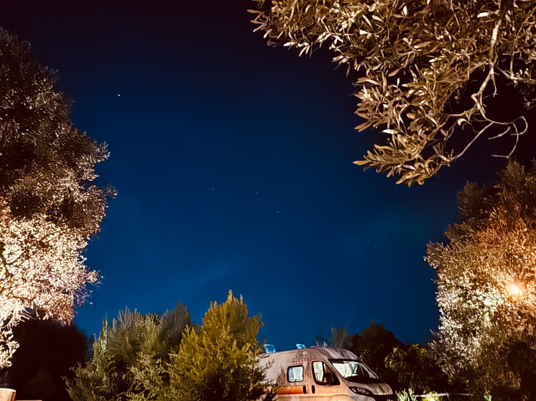 Giardini Di Marzo主图