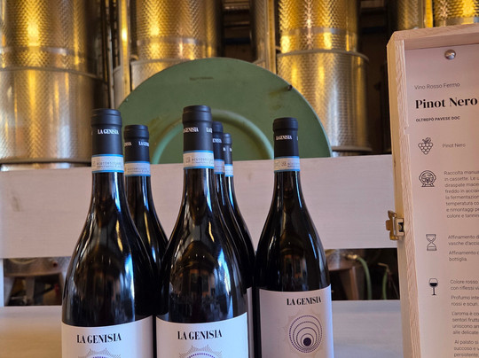 Torrevilla Botteghe del Vino-Torrazza Coste必去景点