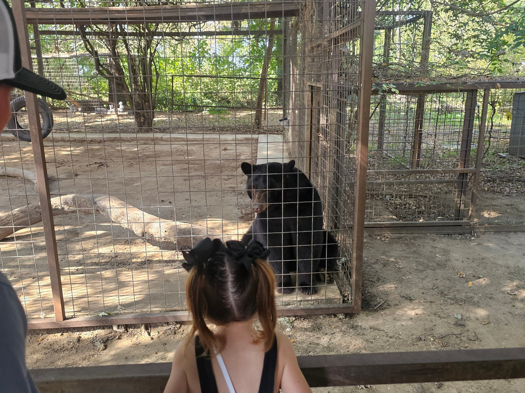 Safari Zoological Park-Caney必去景点