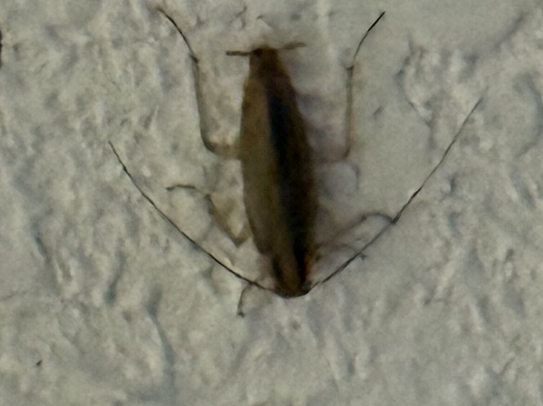 Quality Inn & Suites Canton主图