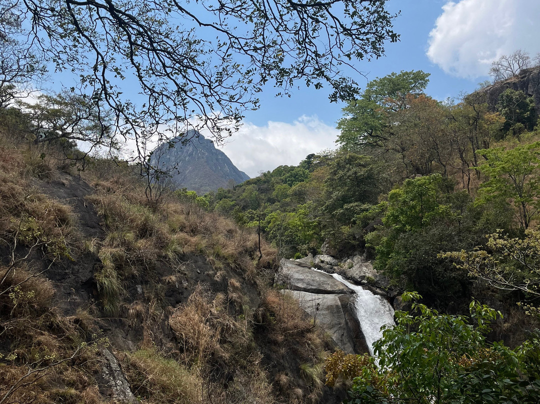 Mulanje Mountain Tour Guide-姆兰杰必去景点
