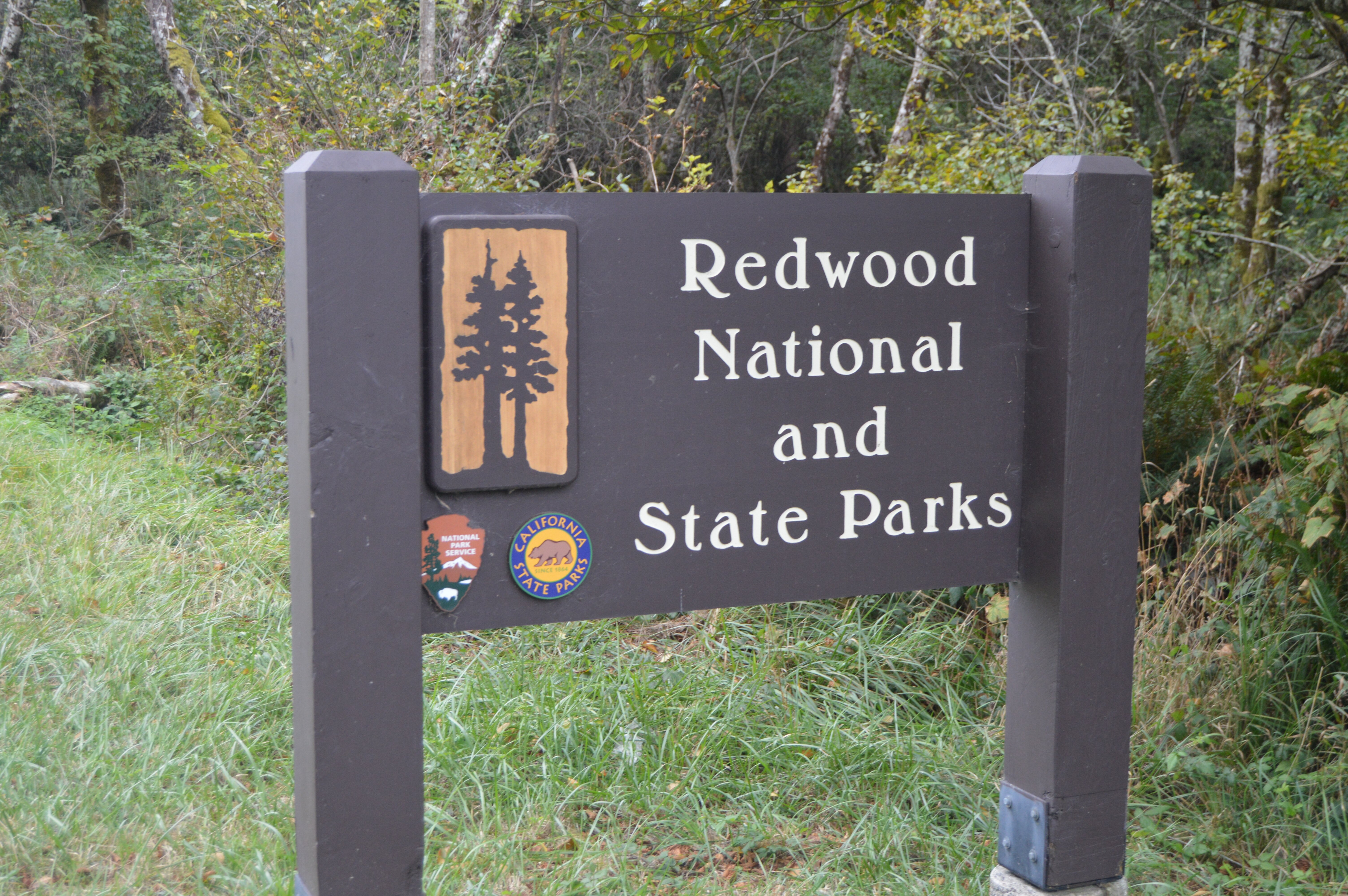 Lighthouse Inn-官方