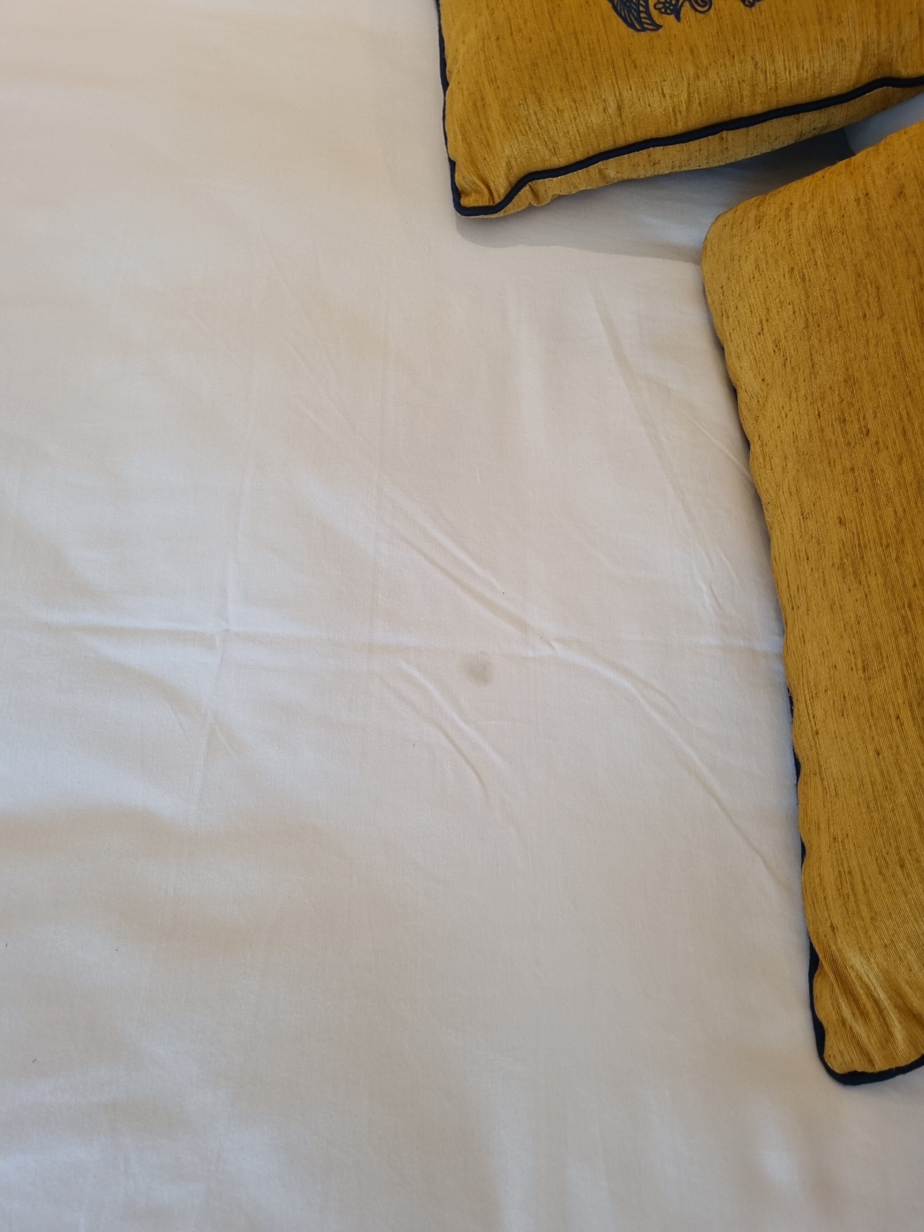 Taj Lakefront Bhopal-官方