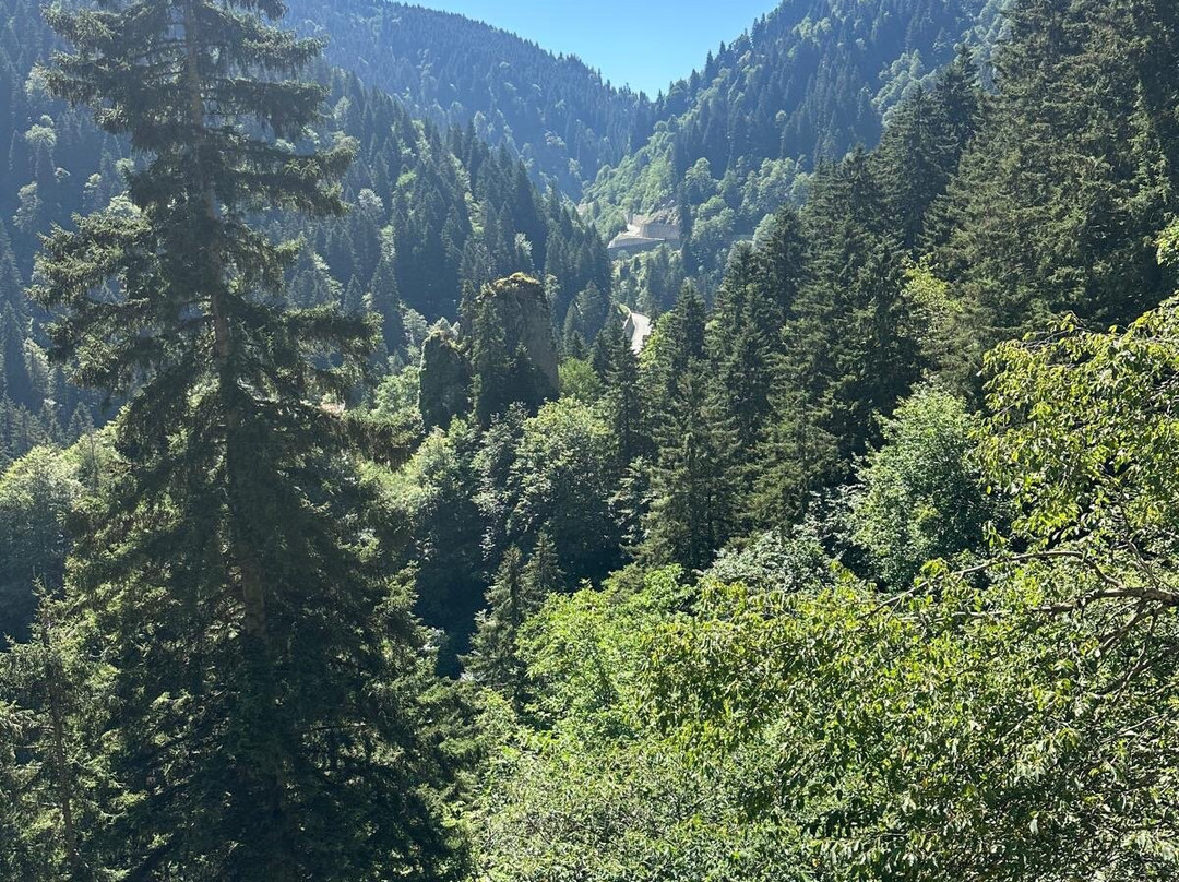 Altindere Vadisi National Park-特拉布宗省必去景点