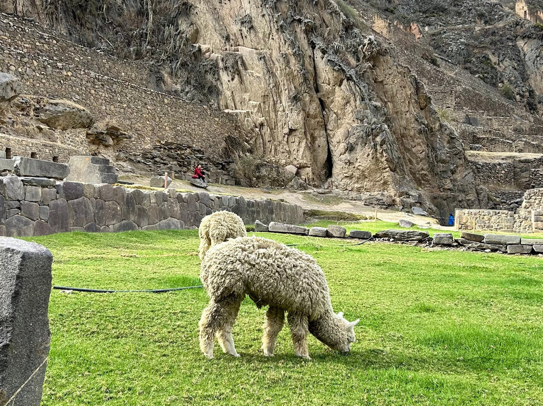 Yacana Viagens-库斯科必去景点