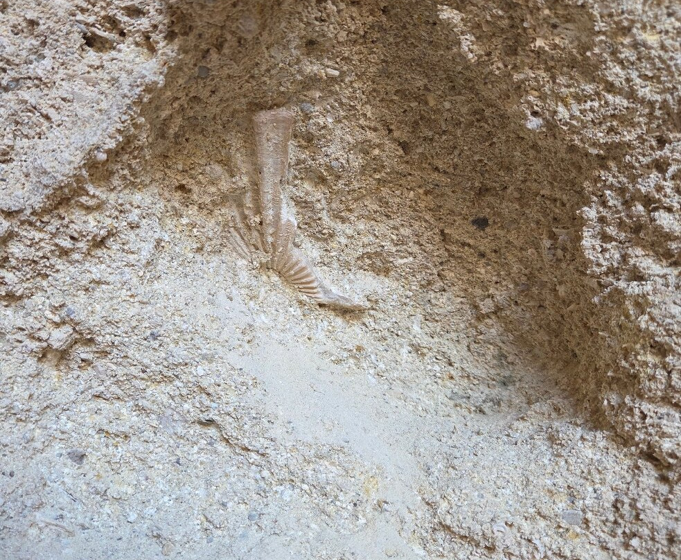 Poseidon's Temple-Karpathos Town (Pigadia)必去景点