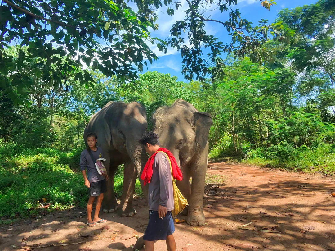 The Lake Phuket Elephant Home-Thep Krasatti必去景点
