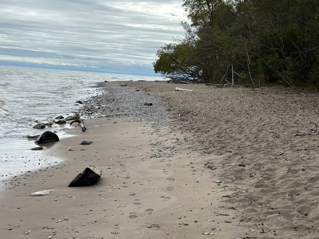 Schlitz Audubon Nature Center-Bayside必去景点