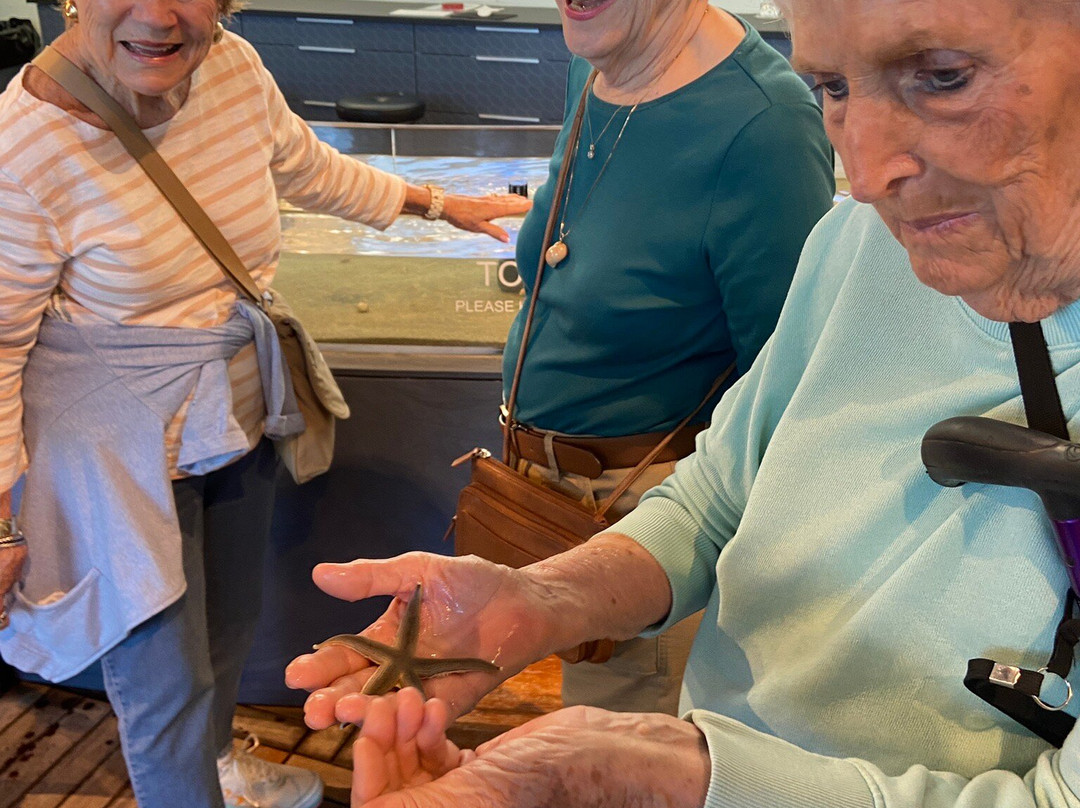 Tybee Island Marine Science Center-泰碧岛必去景点