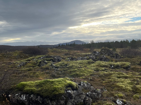Ishestar Horse Riding Tours-雷克雅未克必去景点
