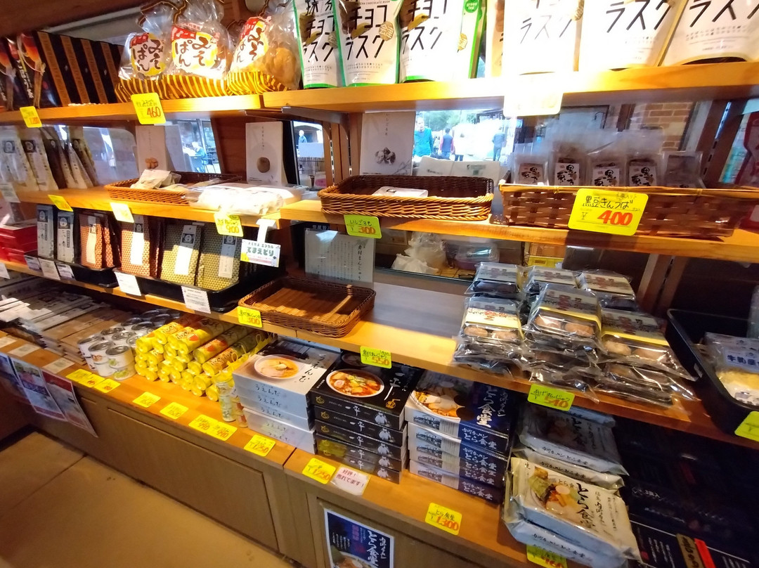 Michi-no-Eki Shimogo-下乡町必去景点