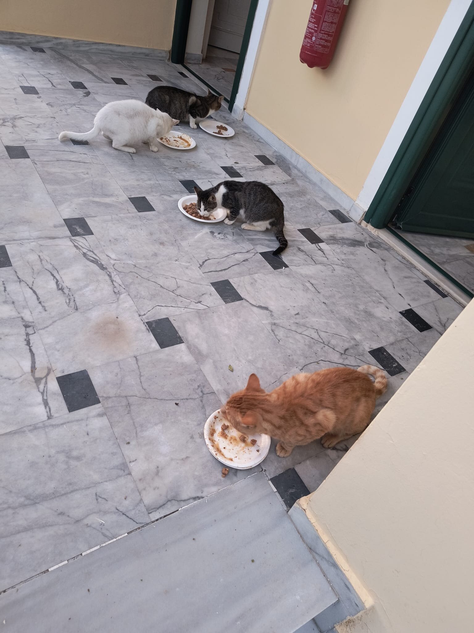 温馨之家酒店-官方