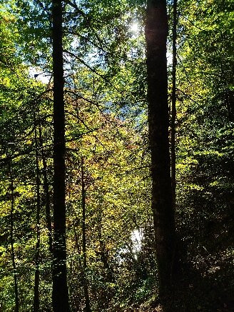 SNÖ Isaba Hotel & Apartments主图