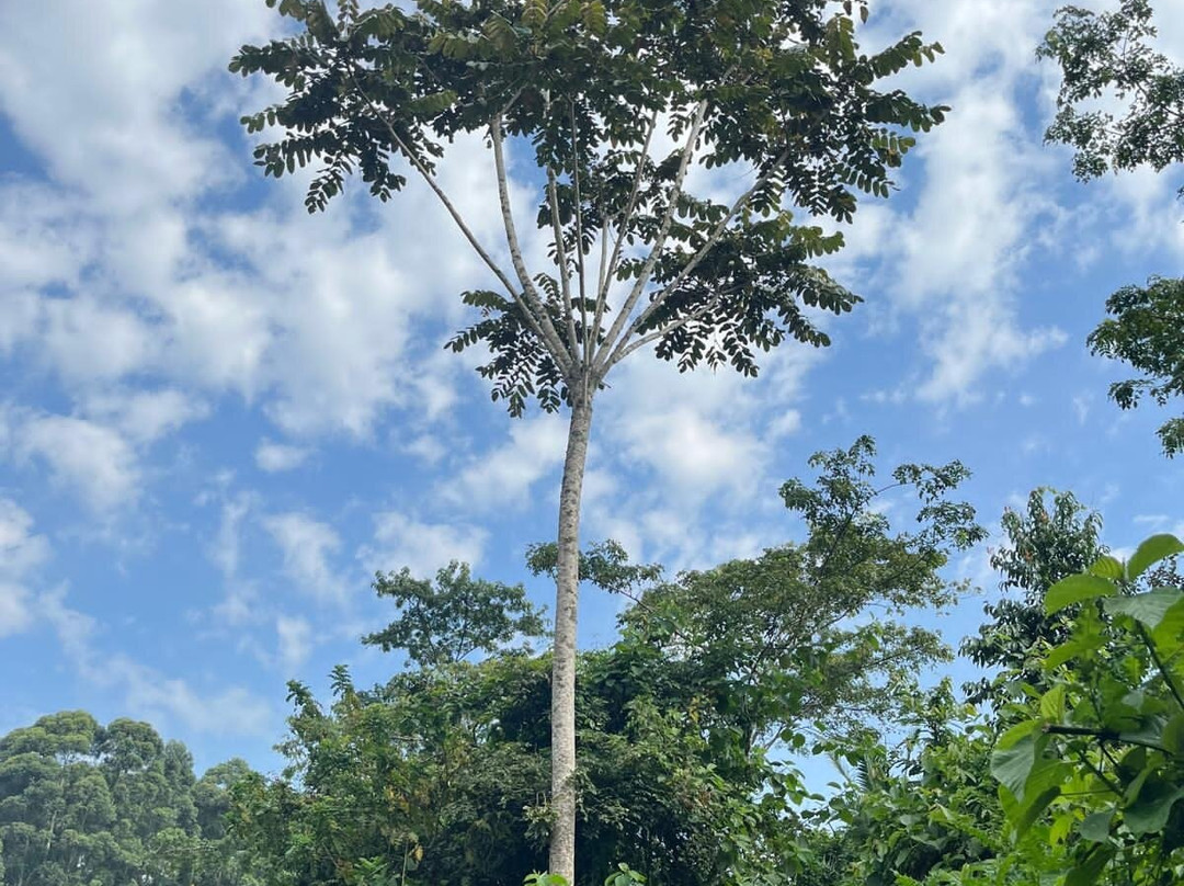 Amabere Caves-Fort Portal必去景点