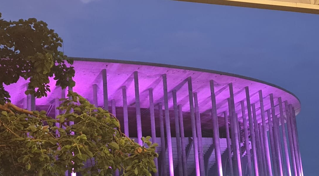 Mané Mercado Virgula-巴西利亚必去景点