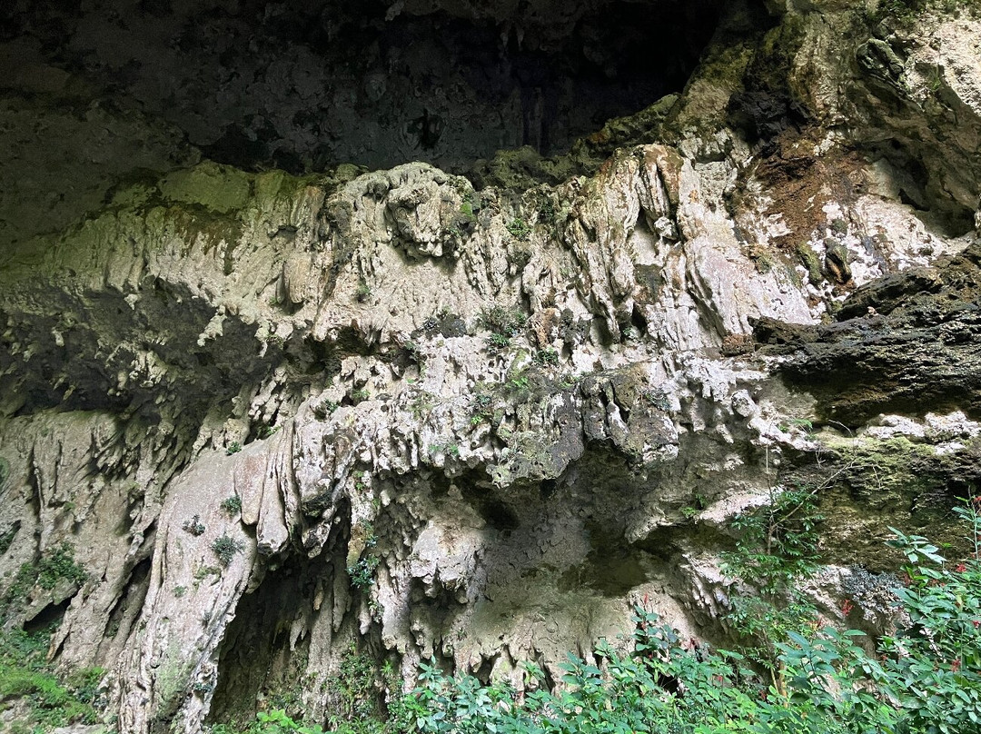 Batey Adventures-Utuado必去景点