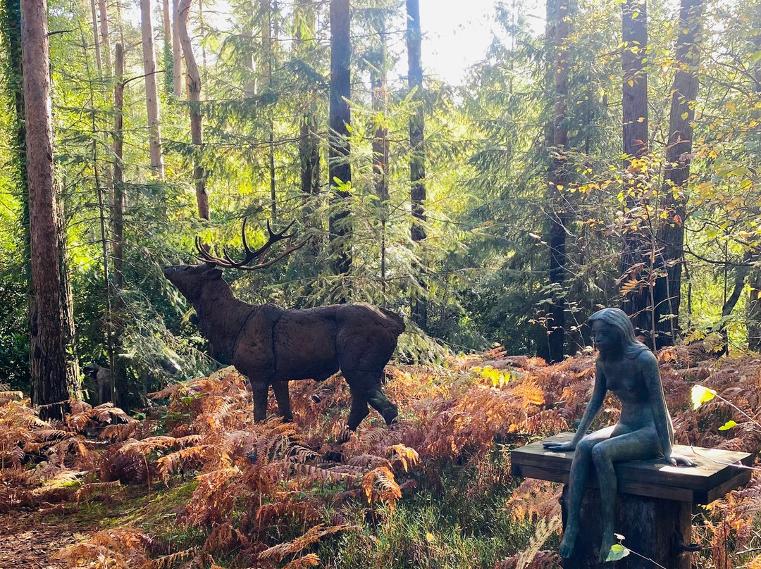 The Sculpture Park-Churt必去景点