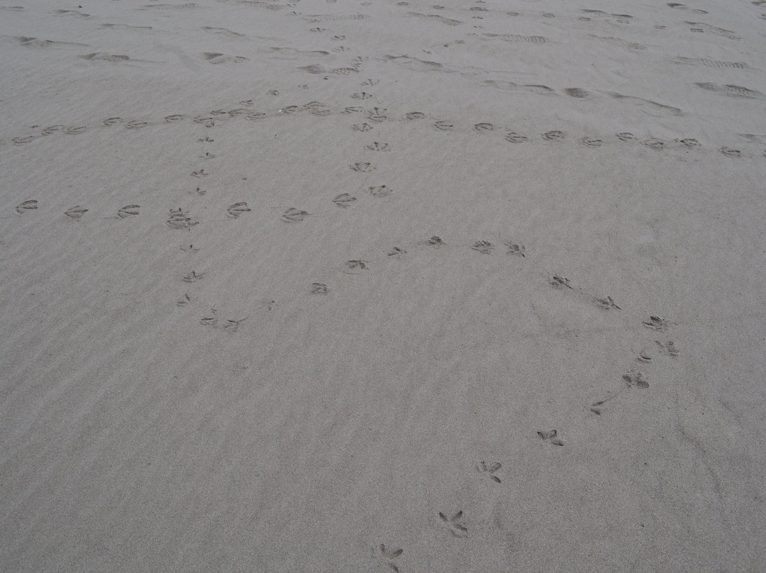 Seaside Beach Oregon-锡赛德必去景点
