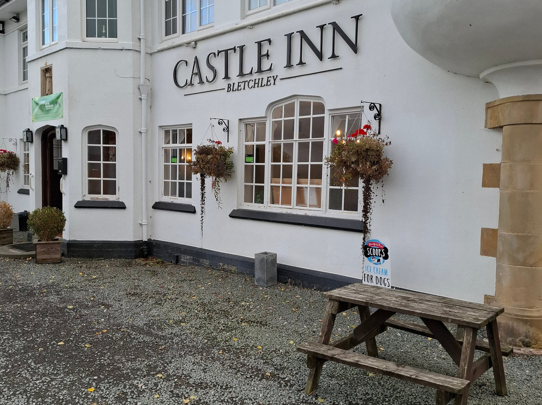 The Castle Inn主图