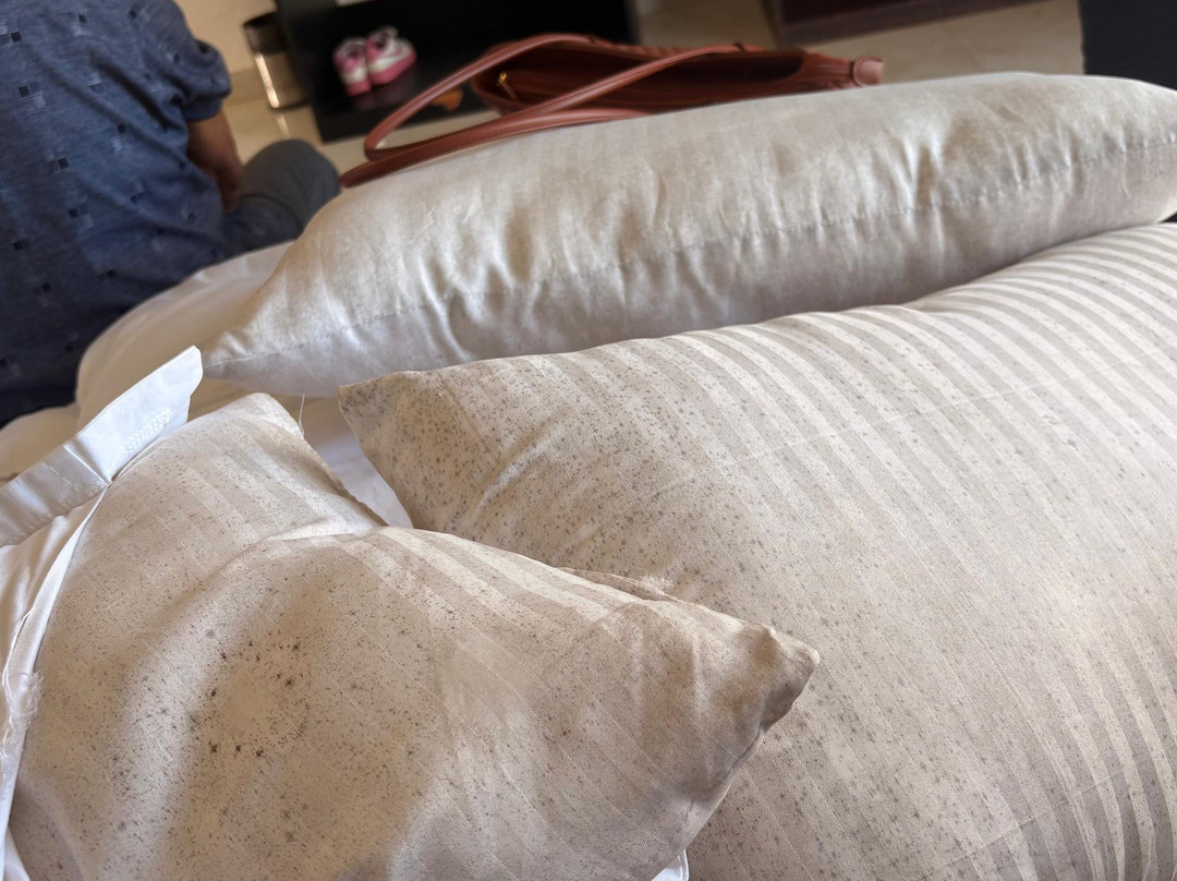 Perfectstayz Koko Maya主图