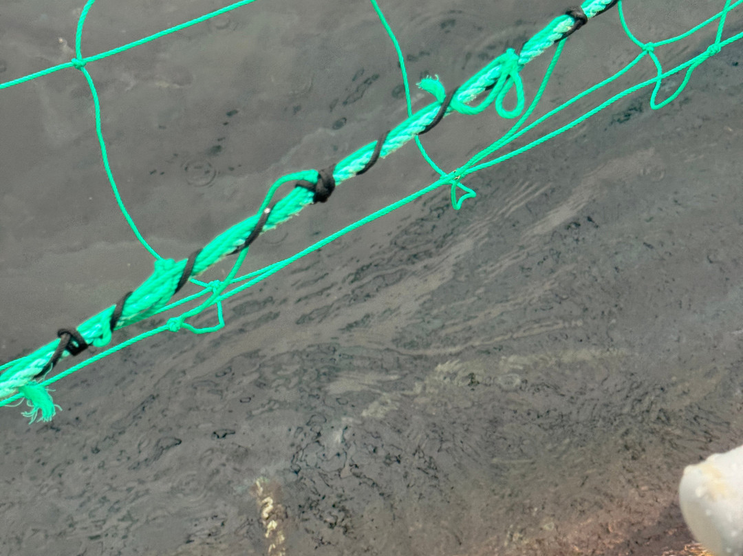 Arctic Aqua-Engenes必去景点