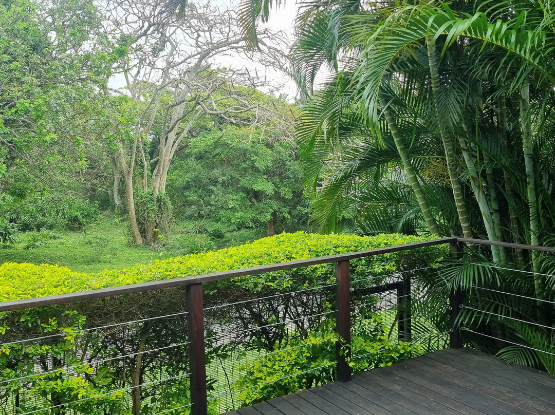 Leopard Corner Lodge主图