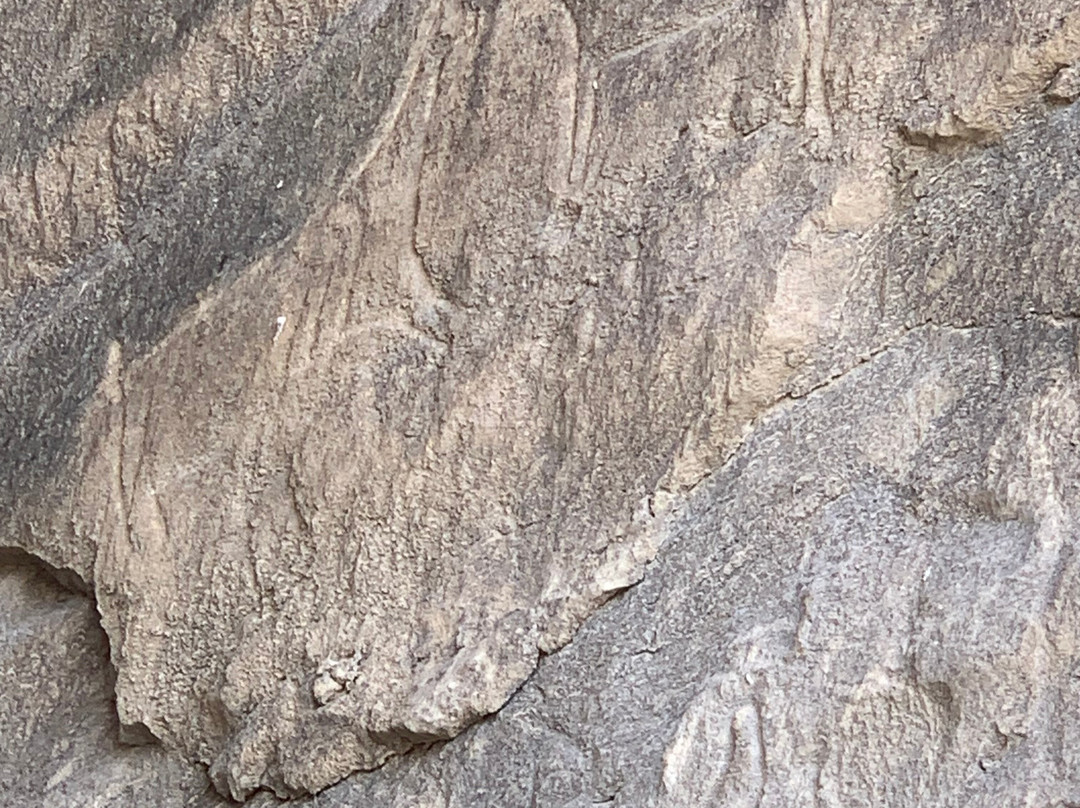 ATI Travel-Mardakan必去景点