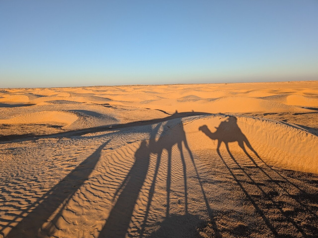 Sahha Sahara-杜兹必去景点