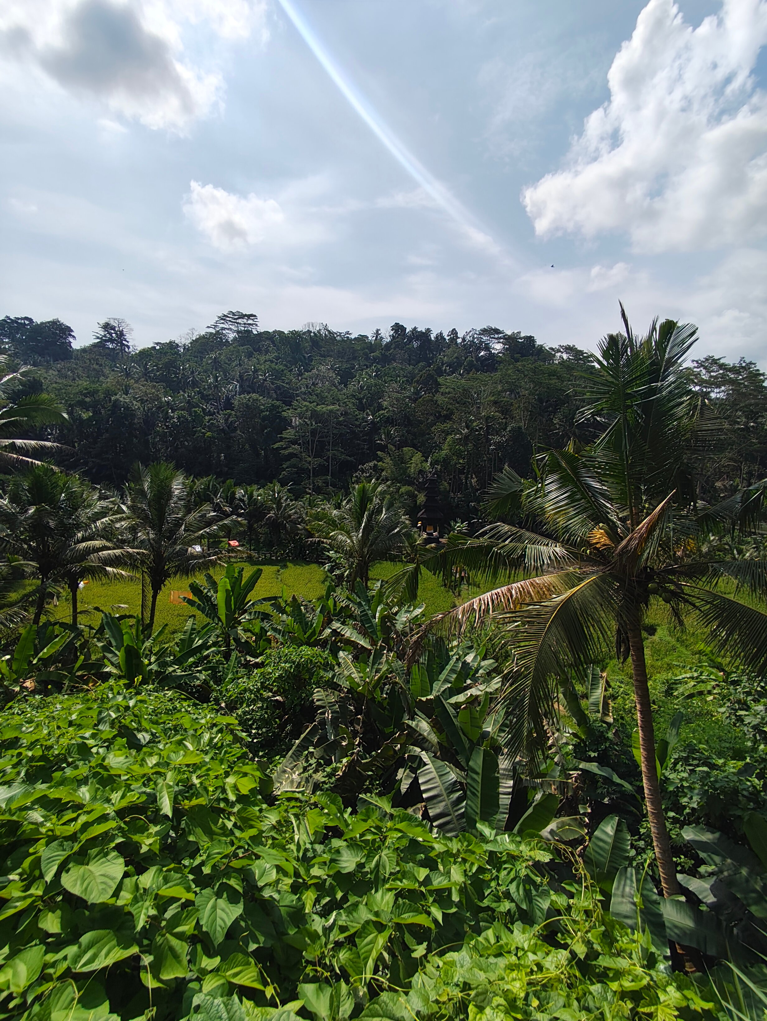巴龙蝴蝶度假村-官方