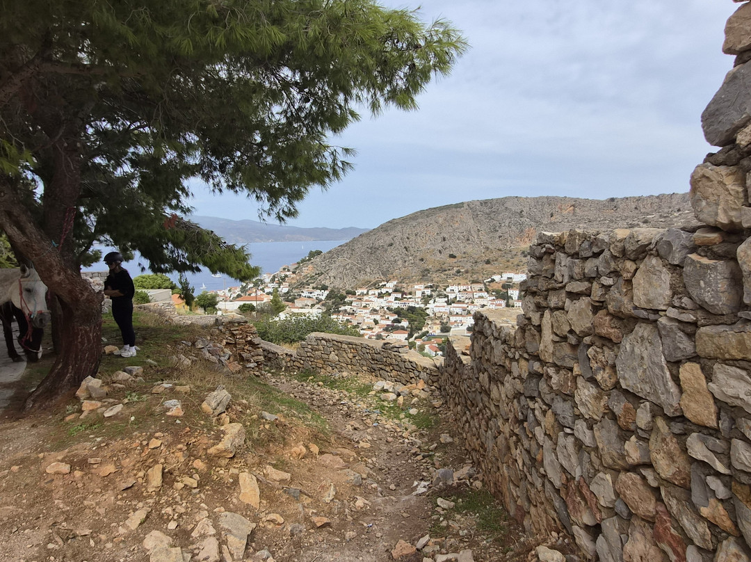 Harriets Hydra Horses-Hydra Town必去景点