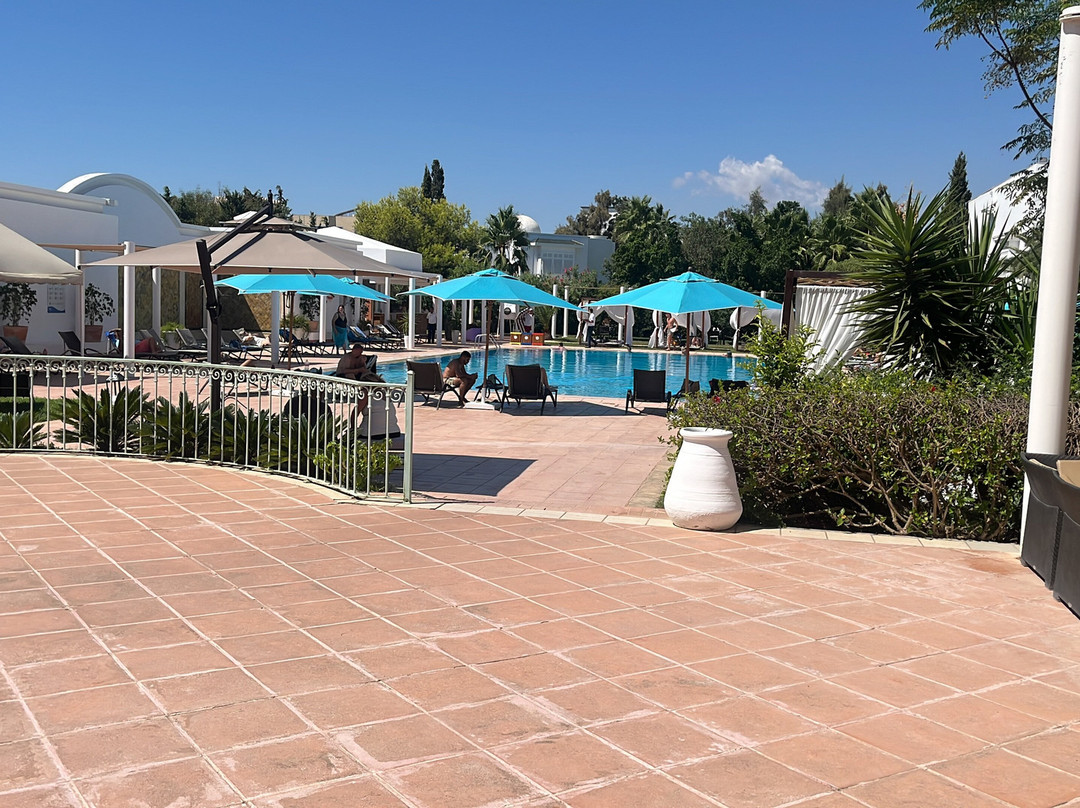 TMK Hotel Flora Park主图