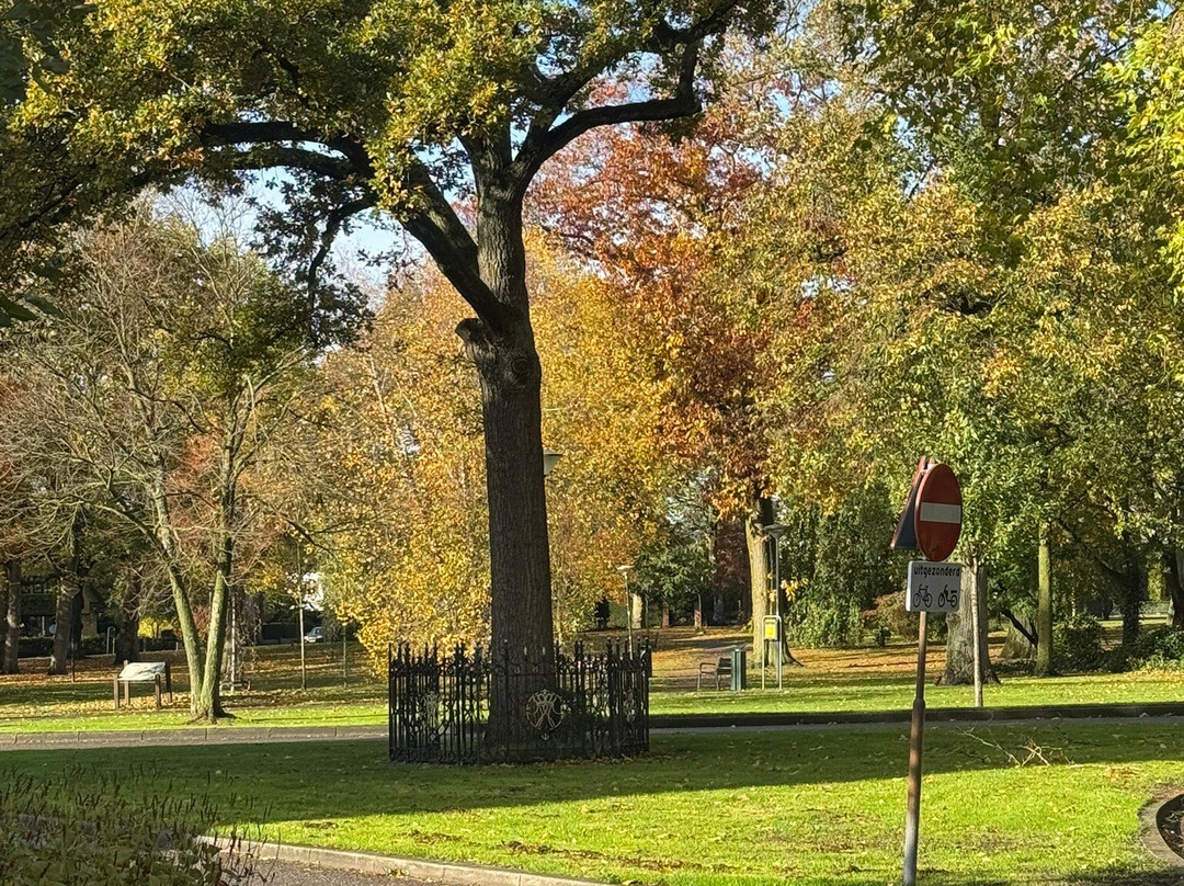 Wilhelminapark-芬洛必去景点