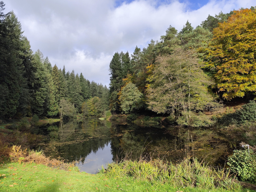 Soudley Ponds-Soudley必去景点