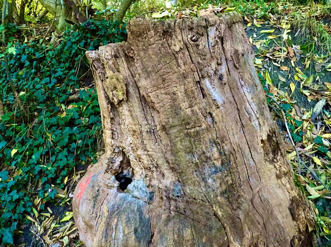 Parco della Chiusa-雷诺河畔卡萨莱基奥必去景点