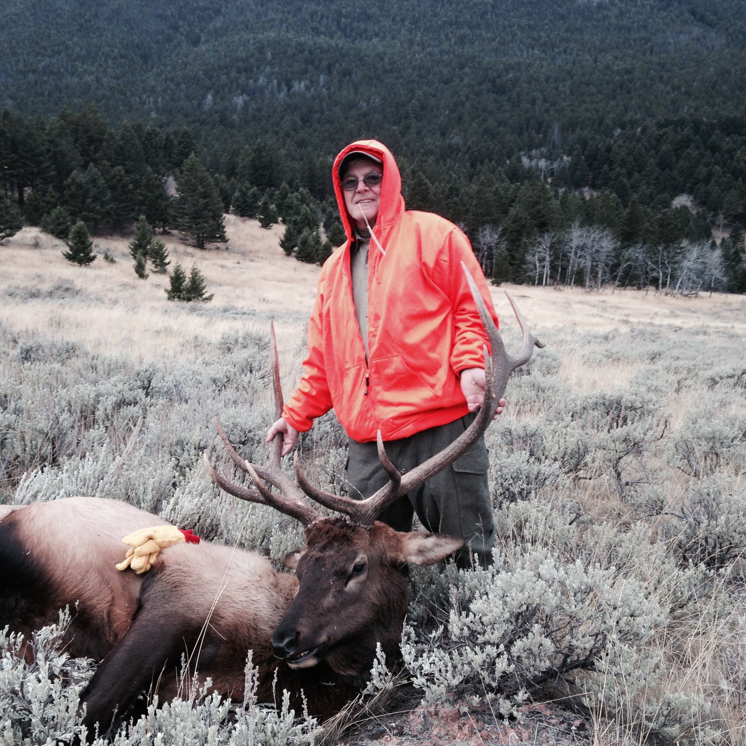 Rainbow Valley Lodge-官方