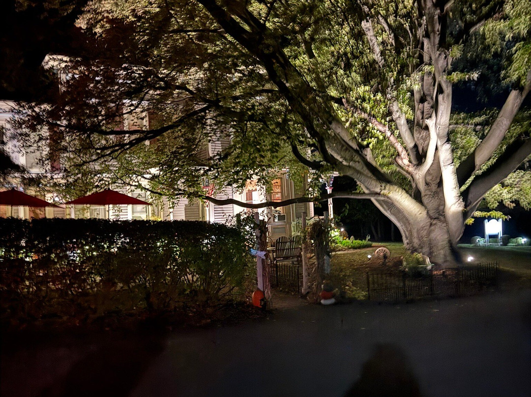 Sutherland House Victorian Bed & Breakfast主图