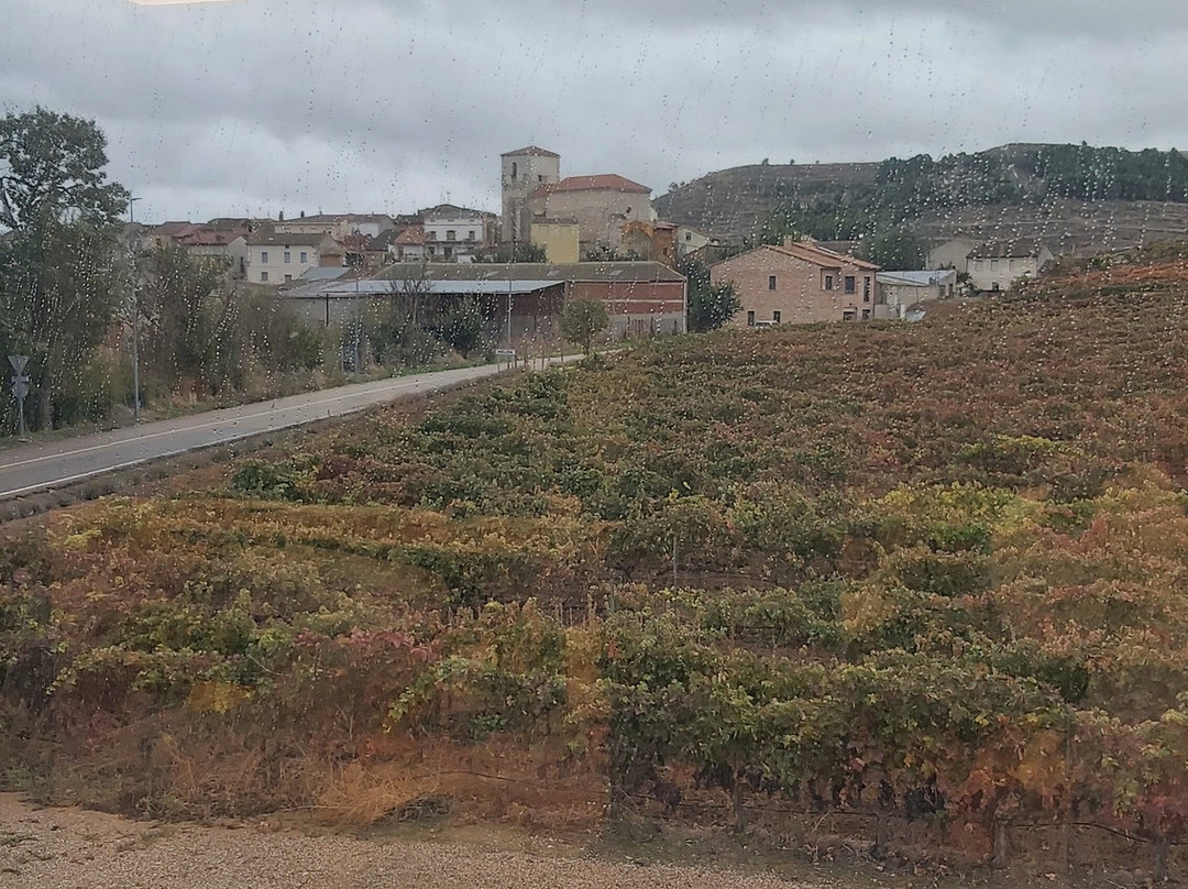 Bodega Convento Oreja-Penafiel必去景点