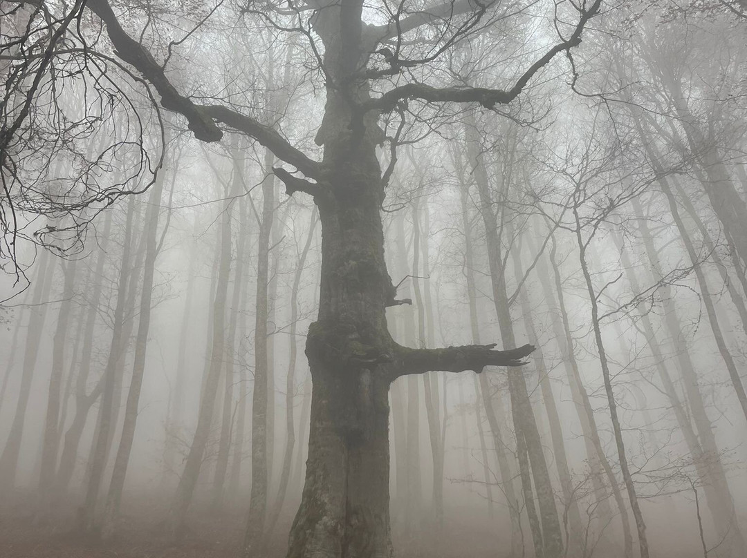 Wilderness-Rotonda必去景点