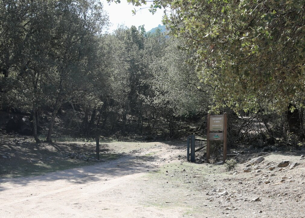 Forêt communale de Moltifao-Moltifao必去景点