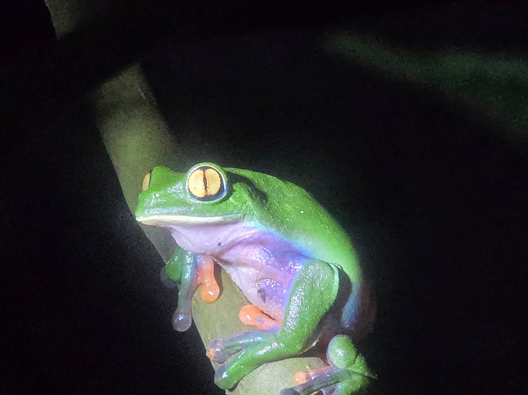 C. R. Referrals Travel-Atenas必去景点