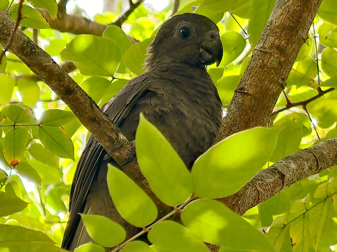 Edelweiss Tours, Seychellen-普拉兰岛必去景点