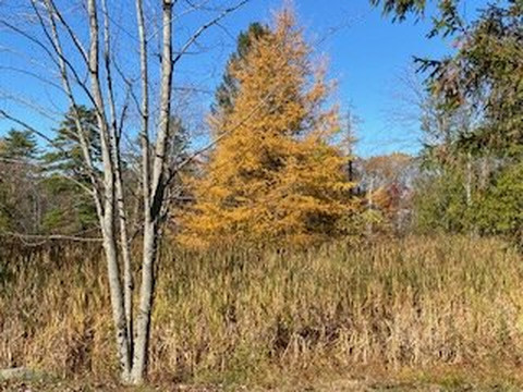Evergreen Cemetery-波特兰必去景点
